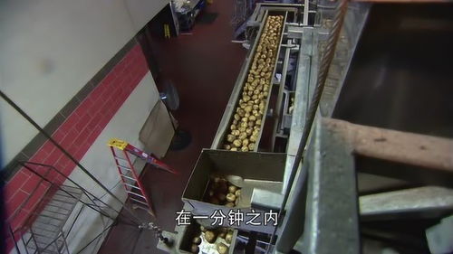 探秘美国全自动薯片工厂 高效流水线下的美味制造